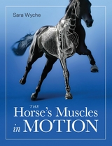 Horse's Muscles in Motion -  Sara Wyche