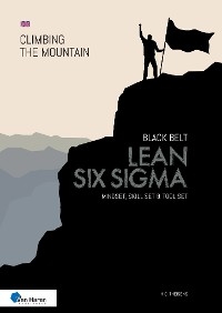 Lean Six Sigma Black Belt - ir. H. C. Theisens