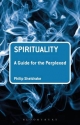 Spirituality: A Guide for the Perplexed - Sheldrake Philip Sheldrake