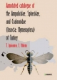 Annotated Catologue of the Ampulicidae, Sphecidae and Crabronidae (Insecta: Hymenoptera) of Turkey (Faunistica)