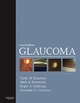 Glaucoma E-Book - Jonathan G. Crowston;  Roger A. Hitchings;  Tarek M. Shaarawy;  Mark B. Sherwood