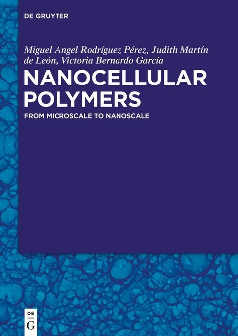 Nanocellular Polymers -  Miguel Angel Rodríguez Pérez,  Judith Martín de León,  Victoria Bernardo García