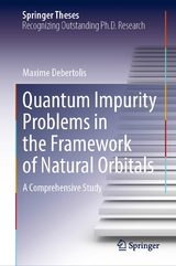 Quantum Impurity Problems in the Framework of Natural Orbitals - Maxime Debertolis