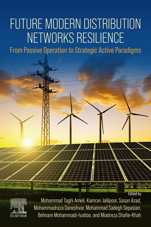 Future Modern Distribution Networks Resilience - 