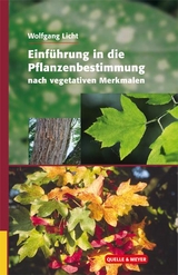Einführung in die Pflanzenbestimmung nach vegetativen Merkmalen - Wolfgang Licht