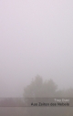 Aus Zeiten des Nebels - Troy Dust
