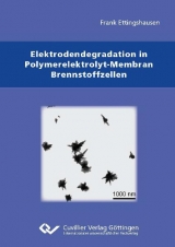 Elektrodendegradation in Polymarelektrolyt-Membran Brennstoffzellen - Frank Ettingshausen