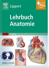 Lehrbuch Anatomie - Lippert, Herbert
