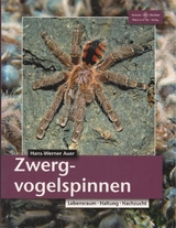 Zwergvogelspinnen - Hans-Werner Auer