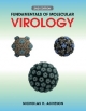 Fundamentals of Molecular Virology by Nicholas H. Acheson Paperback | Indigo Chapters