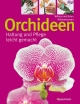 Orchideen: Haltung und Pflege leicht gemacht
