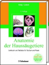 Anatomie der Haussäugetiere - König, Horst E; Liebich, Hans G