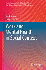 Work and Mental Health in Social Context - Mark Tausig, Rudy Fenwick