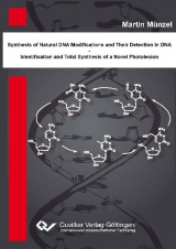 Synthese natürlicher DNA Modifikation und deren Detektion in DNA - Identifikation und Totalsynthese eines neuartigen DNA Photoschadens - Martin Münzel