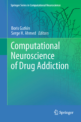 Computational Neuroscience of Drug Addiction - 