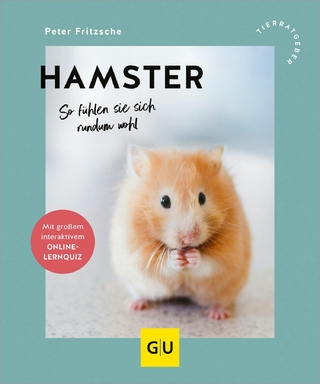 Hamster