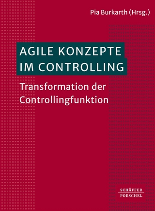 Agile Konzepte im Controlling