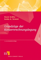 Grundzüge der Konzernrechnungslegung - Gräfer, Horst; Scheld, Guido A.