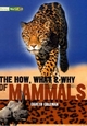 Literacy World Stage 3 Non-Fiction: The How, What and Why of Mammals (6 Pack) - David Glover