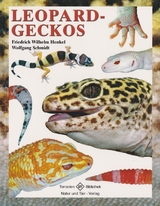 Leopardgeckos - Henkel, Friedrich Wilhelm; Schmidt, Wolfgang