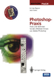Photoshop-Praxis: Tricks und Techniken für den effektiven Einsatz von Adobe Photoshop (Edition PAGE)