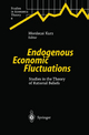 Endogenous Economic Fluctuations - Mordecai Kurz