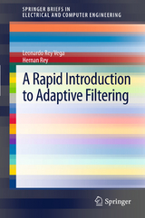 A Rapid Introduction to Adaptive Filtering - Leonardo Rey Vega, Hernan Rey