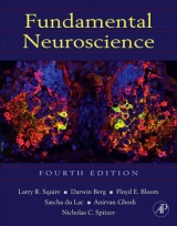Fundamental Neuroscience - Squire, Larry; Berg, Darwin; Bloom, Floyd E.; du Lac, Sascha; Ghosh, Anirvan