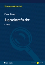 Jugendstrafrecht - Franz Streng