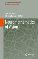 Neuromathematics of Vision - 