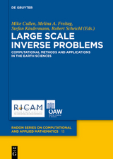 Large Scale Inverse Problems - 