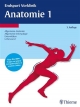 Endspurt Vorklinik: Anatomie 1 - Ulrike Bommas-Ebert;  Philipp Teubner;  Norbert Ulfig;  Rainer Voß