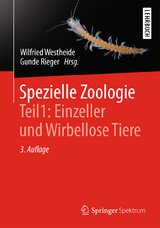Spezielle Zoologie. Teil 1: Einzeller und Wirbellose Tiere - Westheide, Wilfried; Rieger, Gunde; Westheide, Wilfried; Rieger, Reinhard