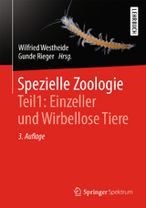 Spezielle Zoologie. Teil 1: Einzeller und Wirbellose Tiere - Westheide, Wilfried; Rieger, Gunde; Westheide, Wilfried; Rieger, Reinhard