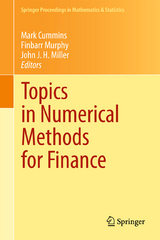 Topics in Numerical Methods for Finance - 