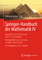 Springer-Handbuch der Mathematik IV - 