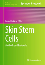 Skin Stem Cells - 