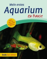 Mein erstes Aquarium zu Hause - Bernd Degen