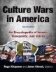 Culture Wars - Roger Chapman;  James Ciment