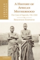 A History of African Motherhood - Rhiannon Stephens