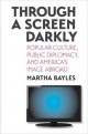 Through a Screen Darkly - Martha Bayles