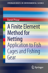 A Finite Element Method for Netting - Daniel Priour