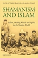 Shamanism and Islam - Thierry Zarcone; Angela Hobart