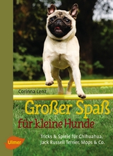 Großer Spaß für kleine Hunde - Corinna Lenz