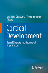 Cortical Development - 
