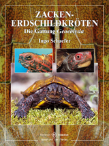 Zacken-Erdschildkröten - Ingo Schaefer