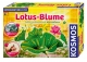 Lotus-Blume (Experimentierkasten)