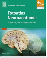Fotoatlas Neuroanatomie - Thomas Deller, Tamas Sebesteny