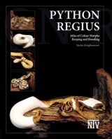 Python regius - Stefan Broghammer