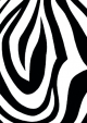 Buchhandlungsbedarf, Geschenkpapier Zebra mattschwarz, Chromolux, 25 Bogen (50 x 70 cm)